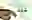 11th Edition of Global Congress on Plant Biology and Biotechnology 